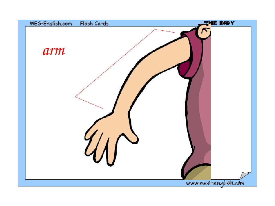 arm