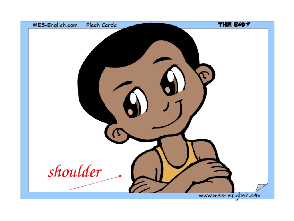 shoulder