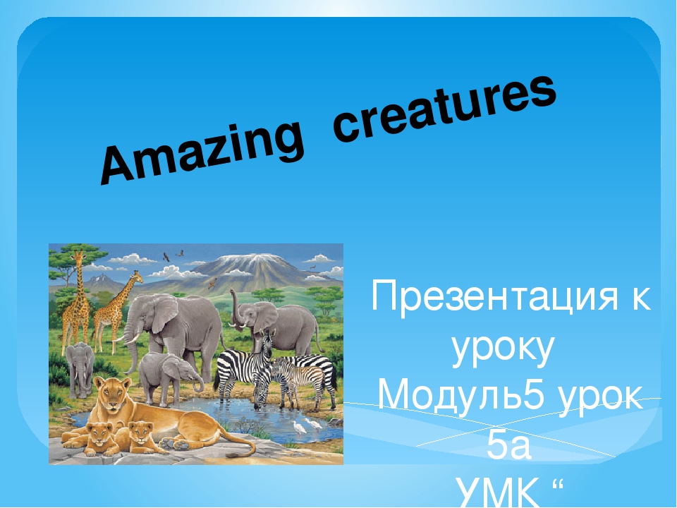 Amazing creatures 5. Amazing creatures 5 класс Spotlight. Amazing creatures 5 класс. Английский язык 5 класс amazing creatures. Amazing creatures 5 класс Spotlight презентация.