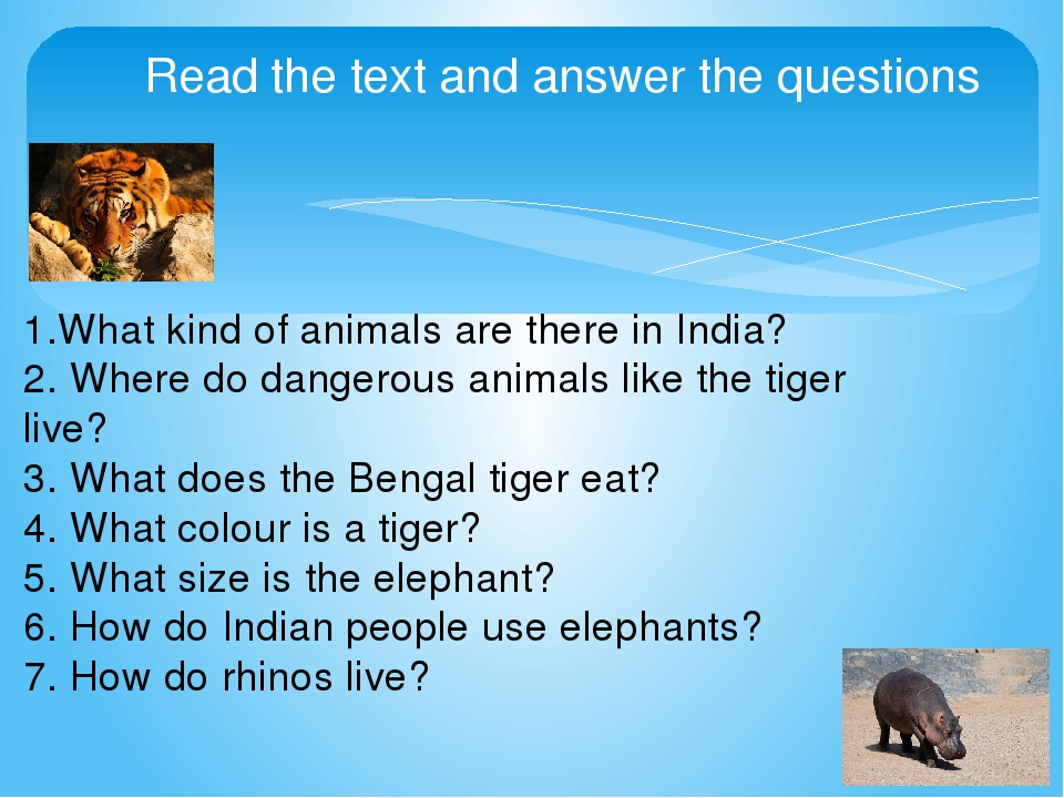 Презентации spotlight 5. Read the text and answer the questions. Read the text and answer the questions ответы на вопросы. Презентация по теме amazing creatures 5 класс. Английский язык 4. read the text and answer the questions..