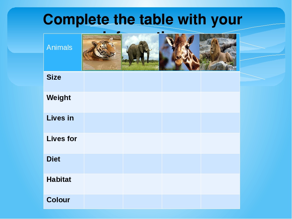 Animal information. Спотлайт 5 животные презентация. Таблица animals Life. Complete the Table. Information about animals.